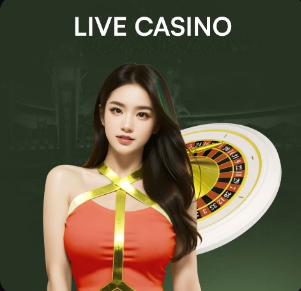 03月21日 CBA常规赛 宁波vs广州 全场录像回放